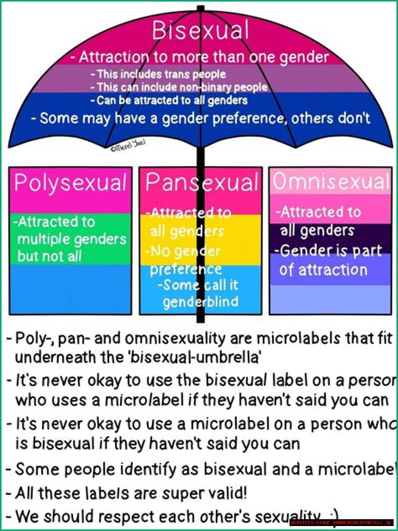 Antony's Bisexuality: Exploration Of Identity And Acceptance
