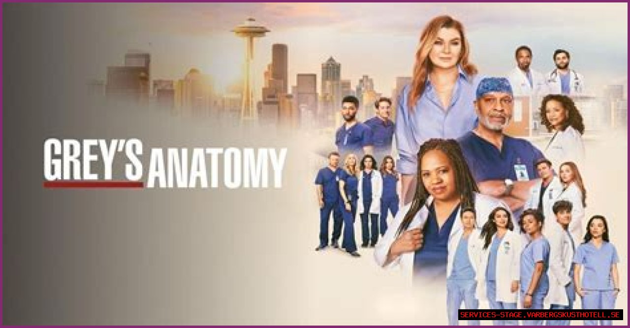 Complete Guide To The Number Of Seasons Of Grey's Anatomy: An Extensive Overview