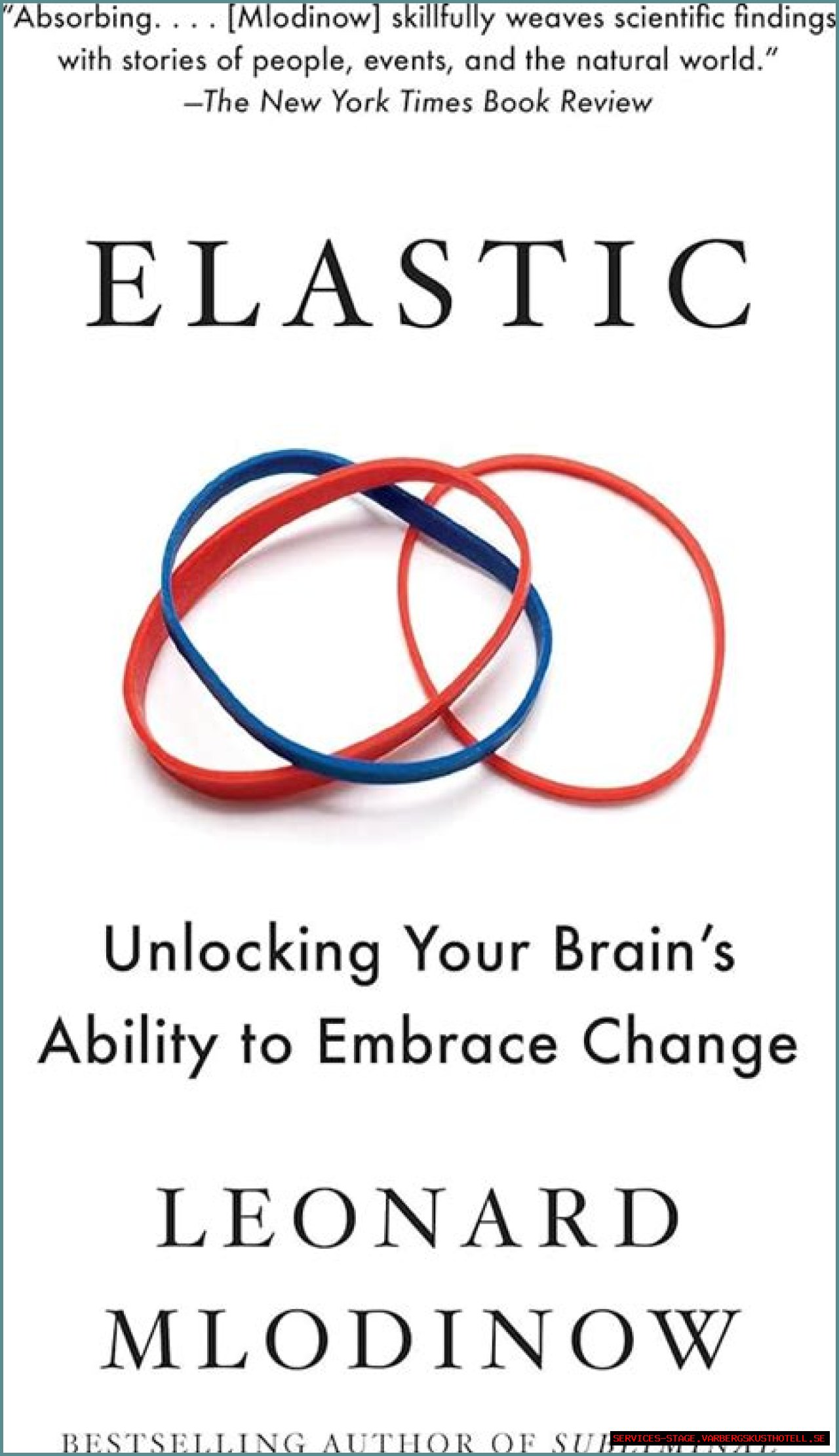 Discover Hidden Connections And Insights