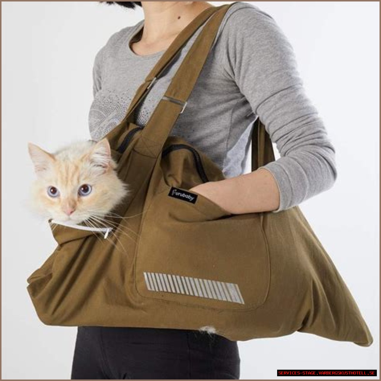 Discovering The Comfort And Convenience Of The Cat Sack Carrier