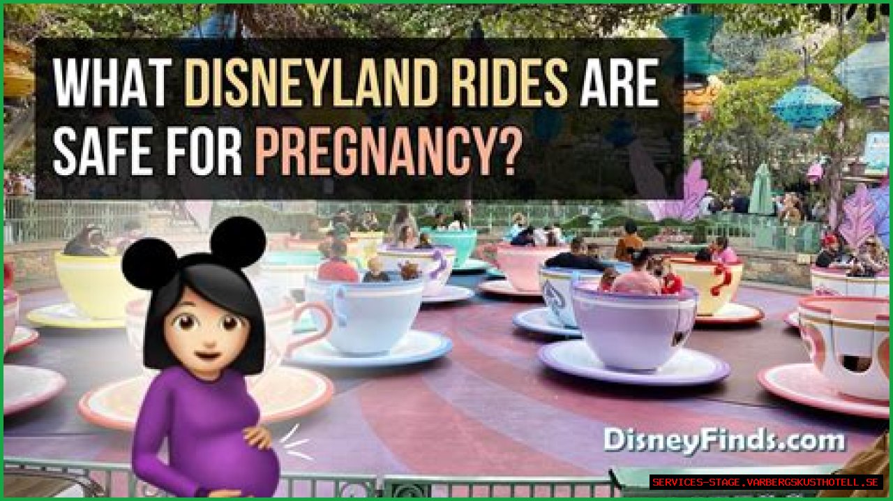 Don't Miss These Disneyland Rides During Pregnancy