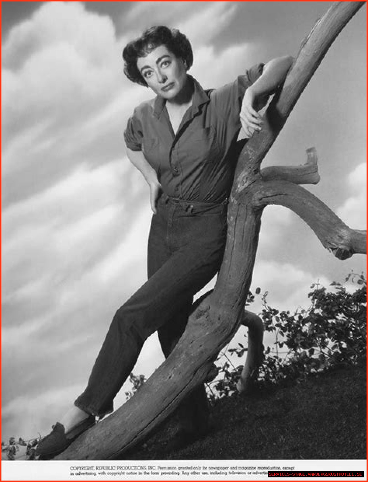 Is Johnny Crawford Linked To Hollywood Legend Joan Crawford?