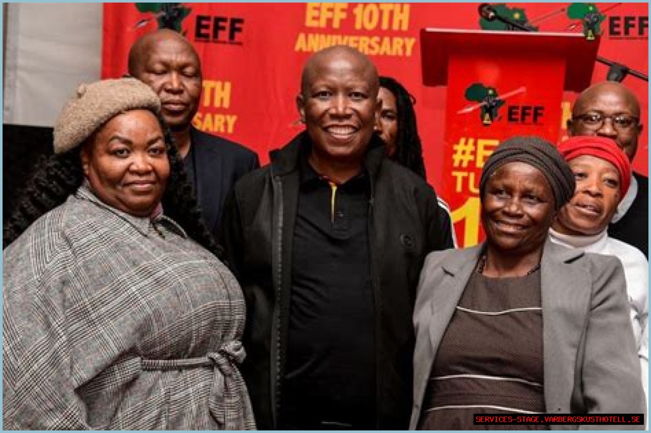 Julius Malema's Age: How Old Is The South African Politician?