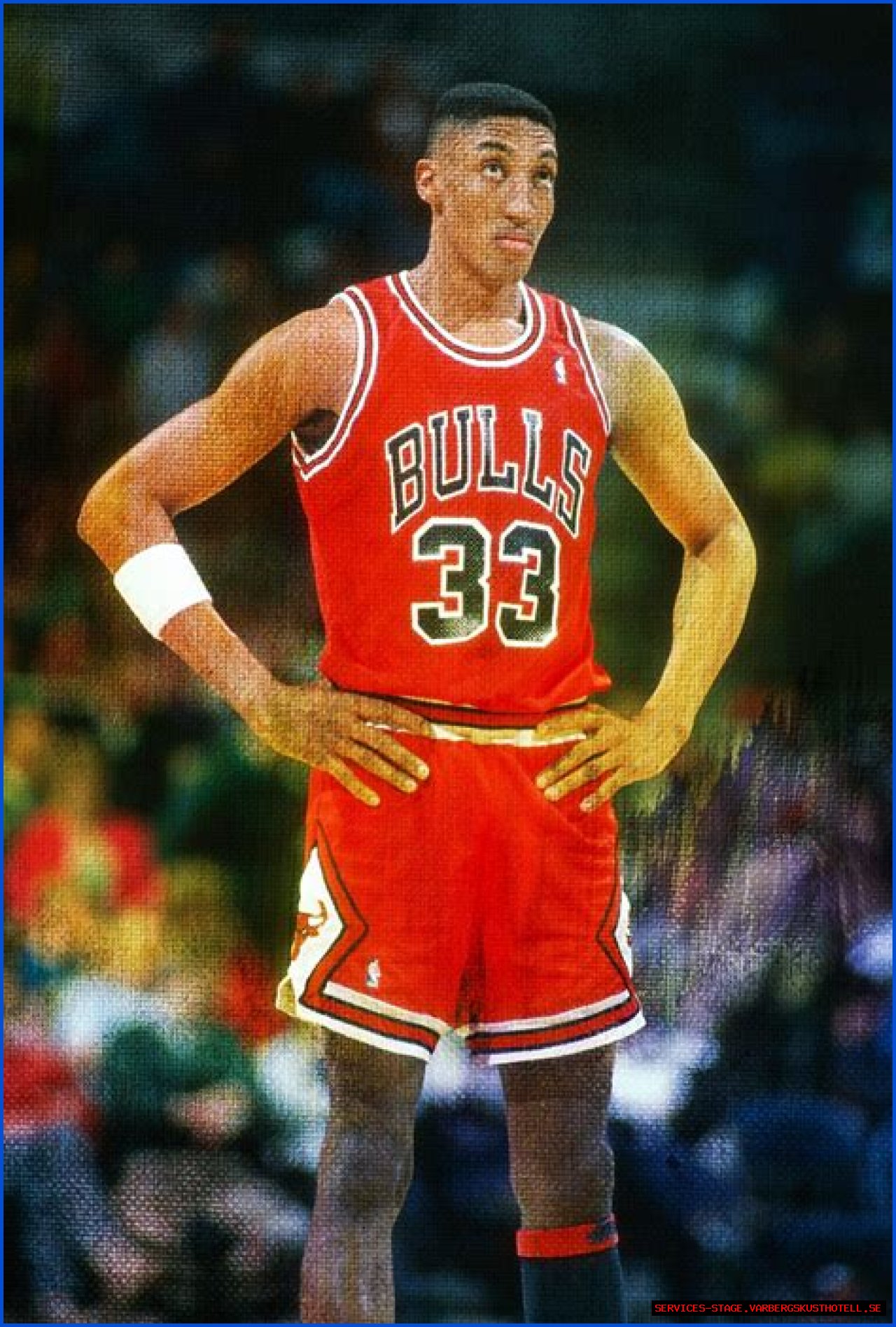 Scottie Pippen's Journey To Career High Points