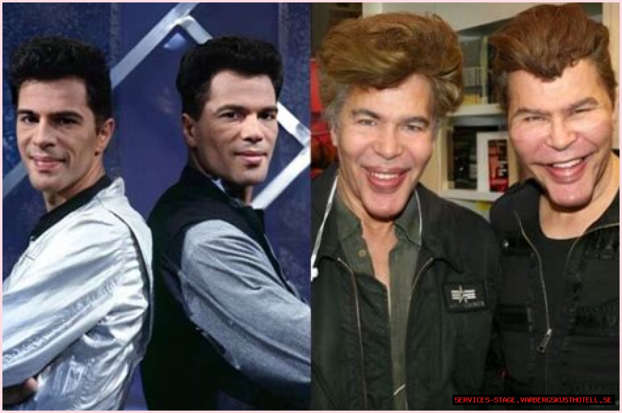 The Bogdanoff Twins' Plastic Surgery Journey