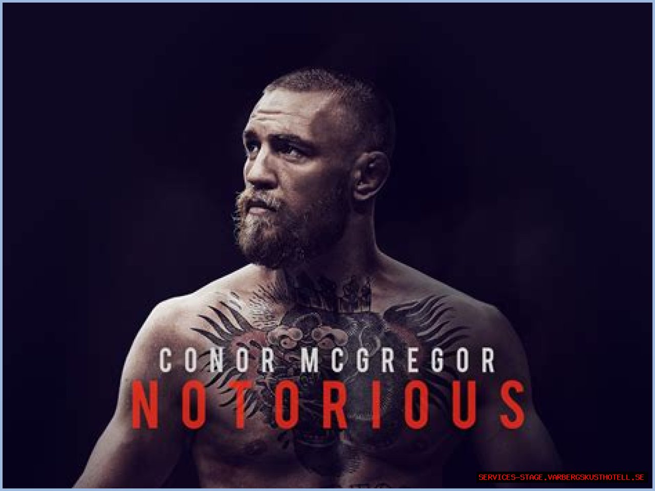 The Notorious Conor McGregor: Explore The Origins Of His Legendary Nickname