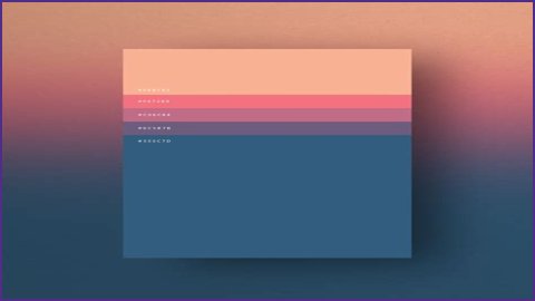 The Perfect Palette For Your Next Project