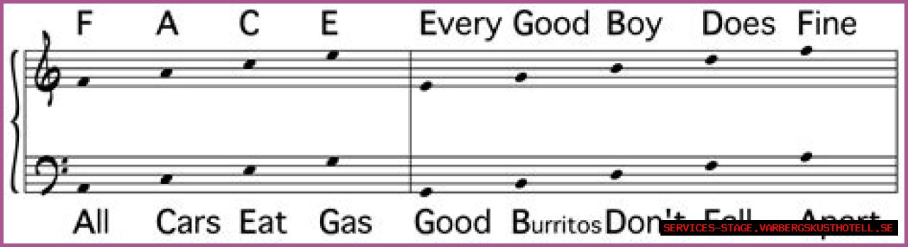 The Ultimate Guide To Music Notes Acronyms: Unveiling The Secrets Of Musical Notation