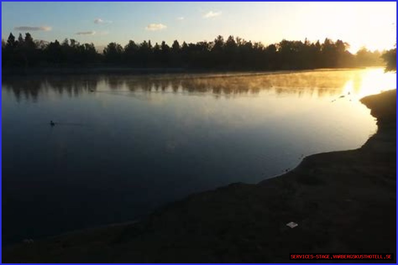 Unforgettable Experiences: Discover Legg Lake Events