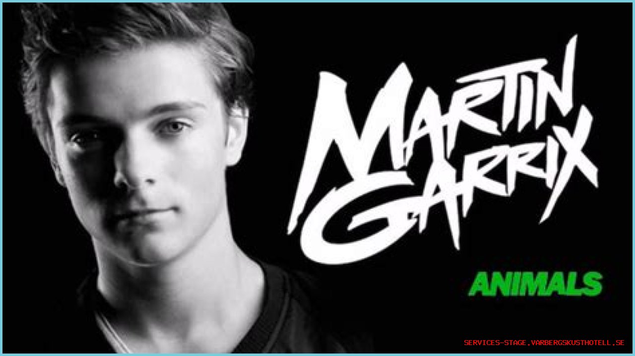 Unveiling Martin Garrix's Age When 'Animals' Roared To Fame