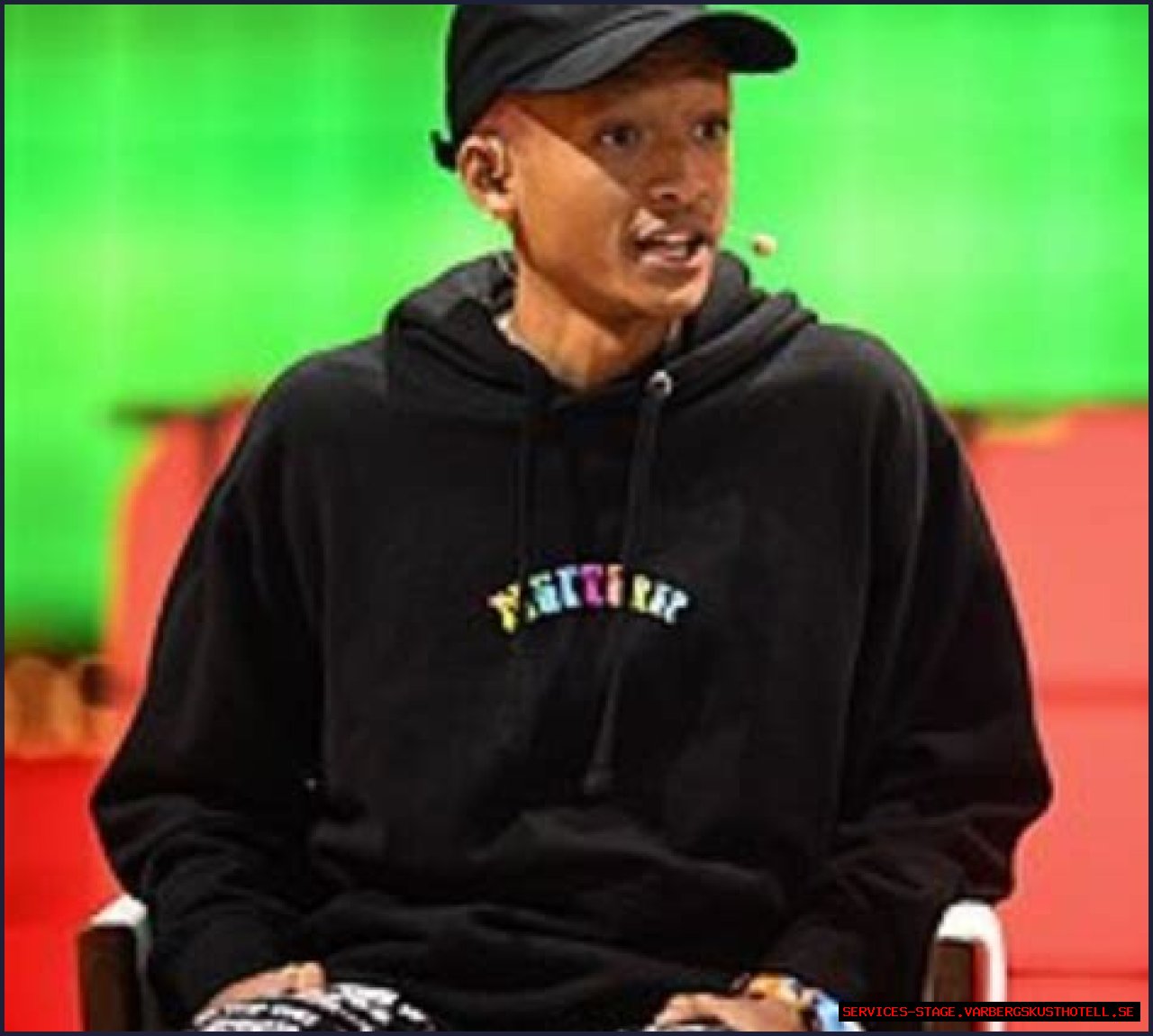 Unveiling The Multifaceted Artist And Activist